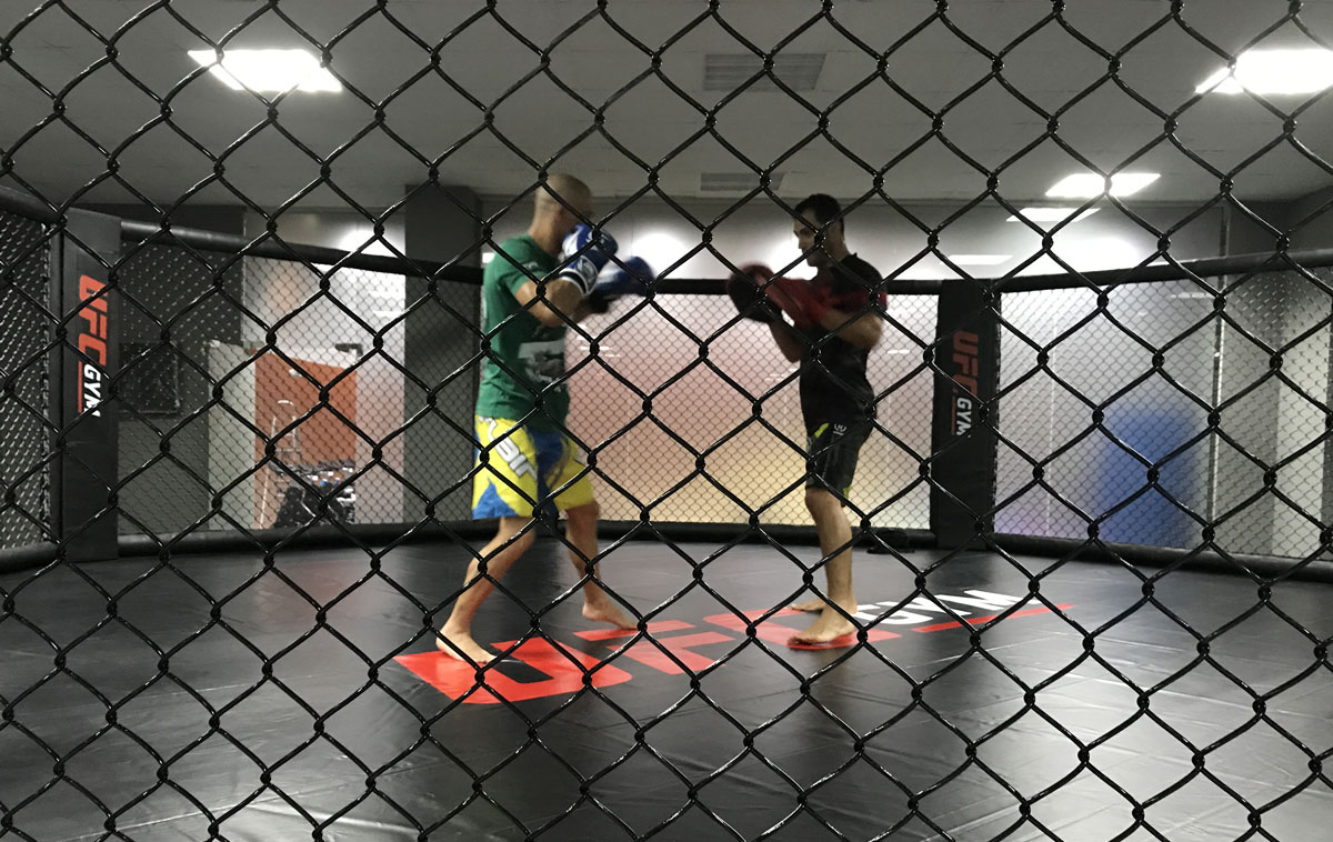 Октагон FOREMAN® для MMA